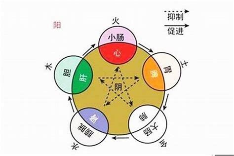 雲字五行|雲字的五行属性